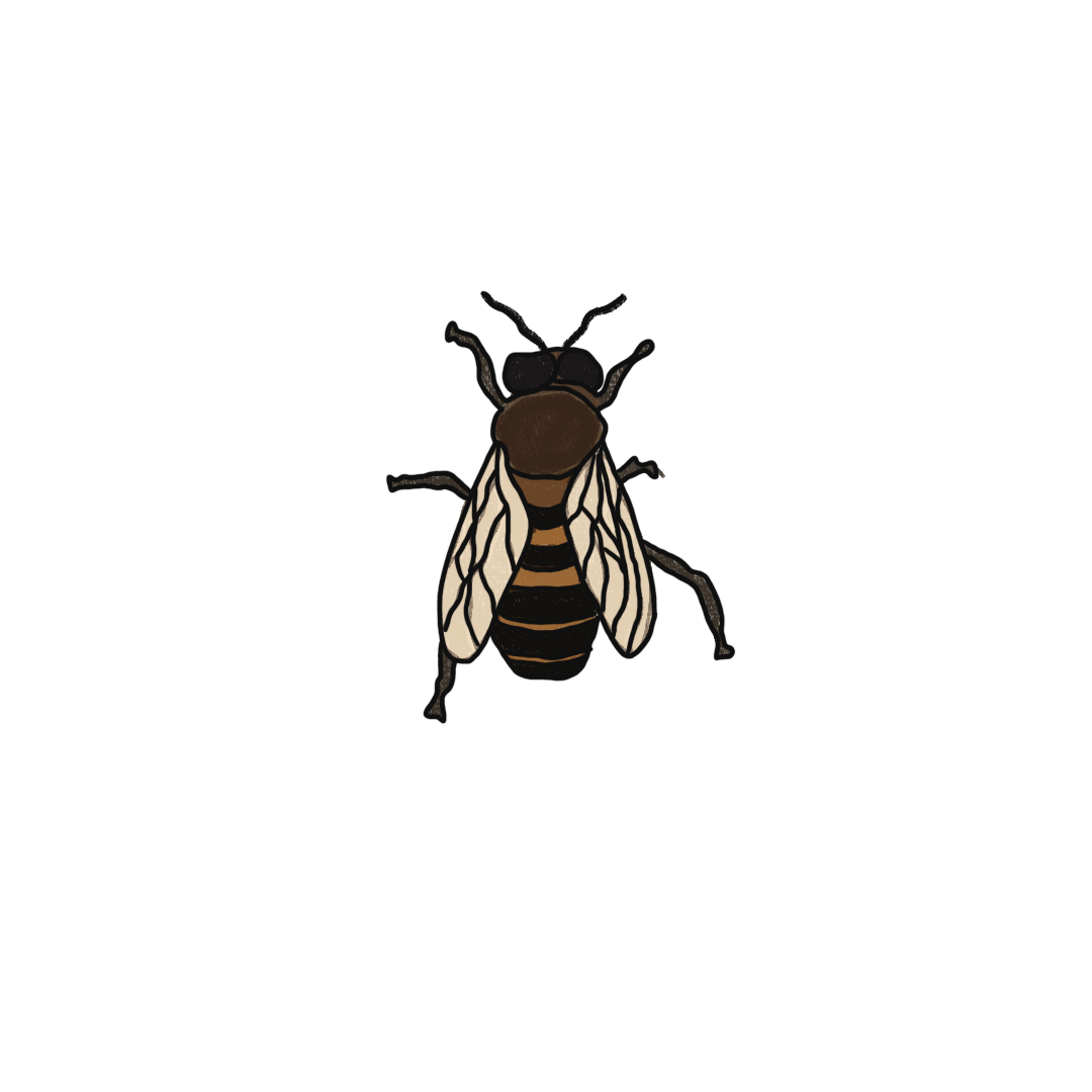ZANGANO