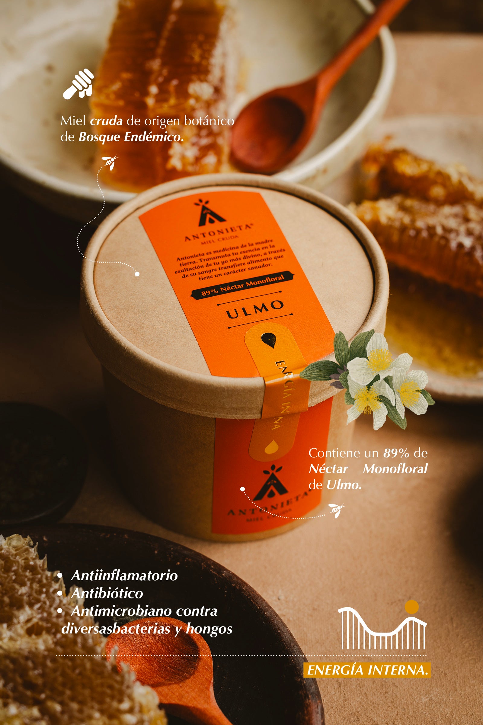 Miel de Ulmo | Reina - 550 g